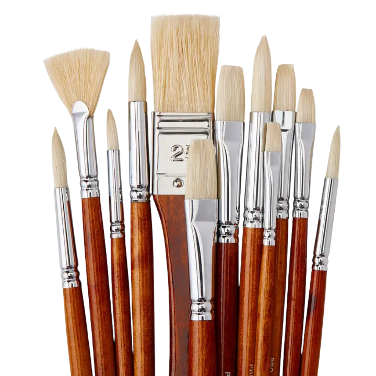 Pro Natural Bristle Brush Set